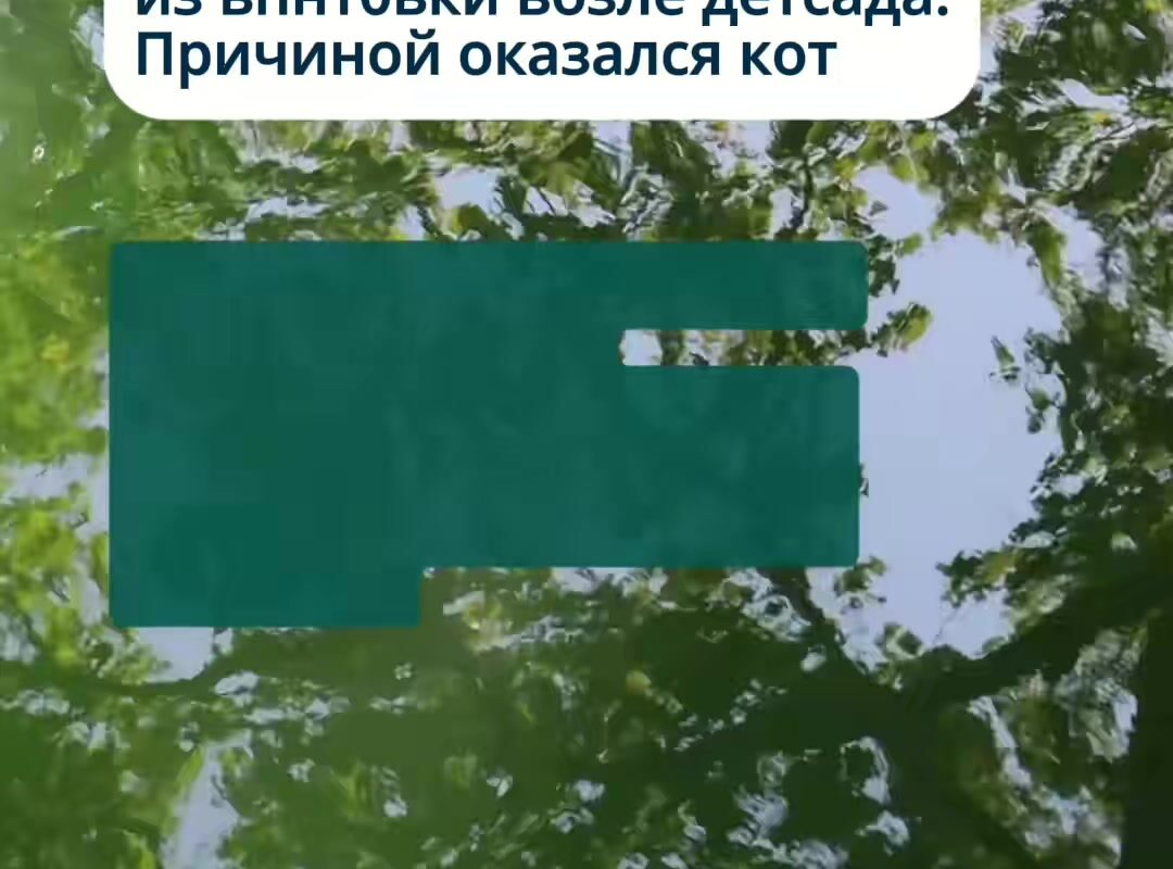 cover-100