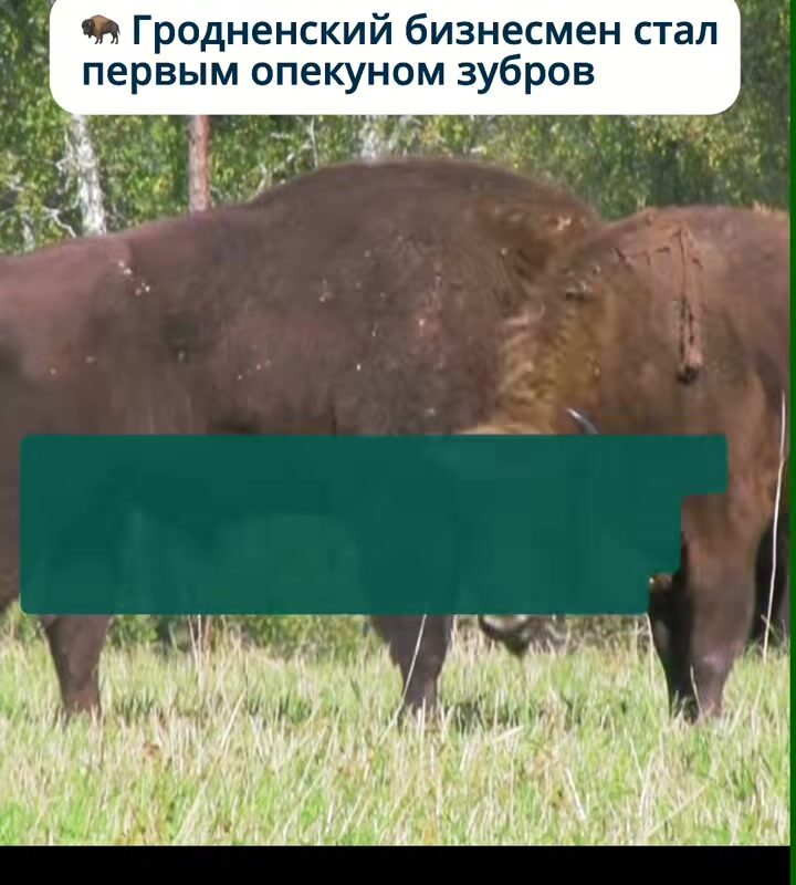 cover-12