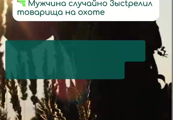 cover-5