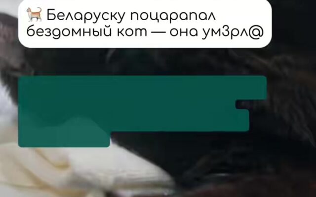 cover-86