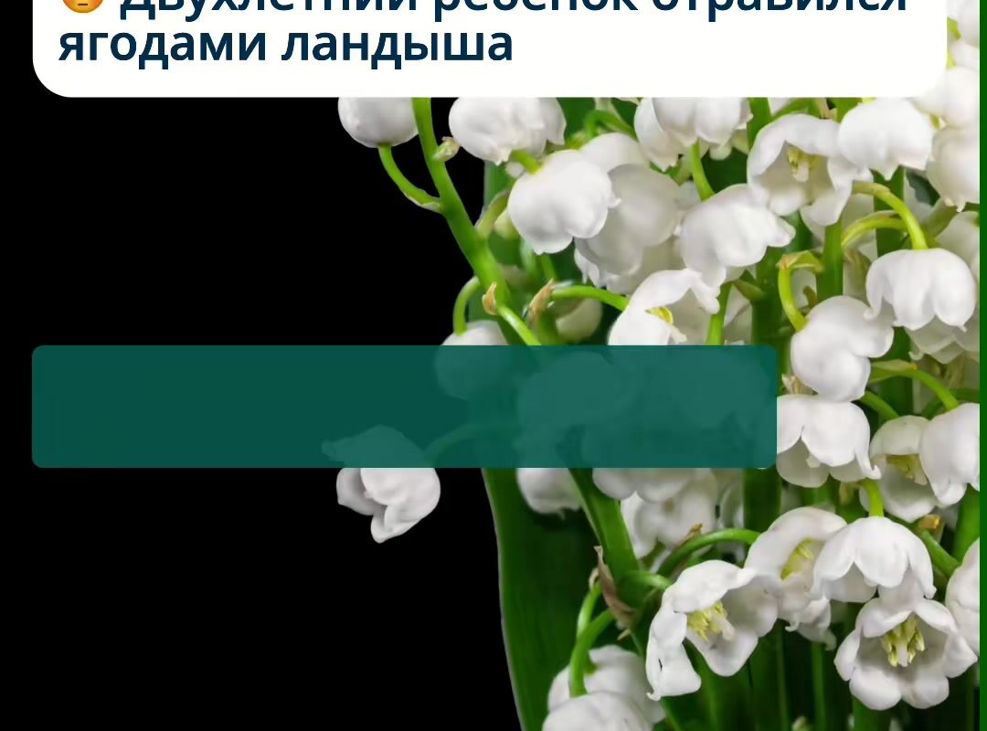 cover-91