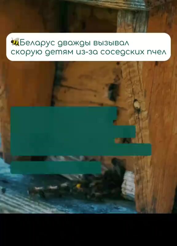 cover-17