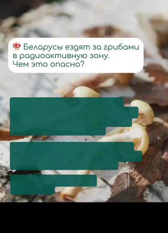 cover-43
