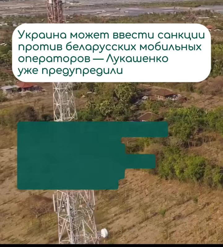 cover-50