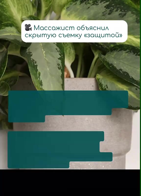 cover-6